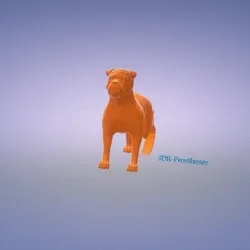 3DR Prostheses "Alpha"