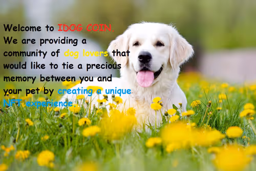 Idog Coin