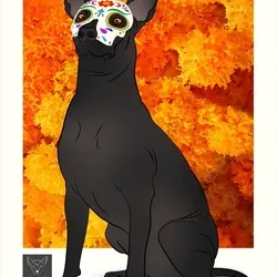 115412186582648874764752321087999128692557907064492986516876109650242358476801