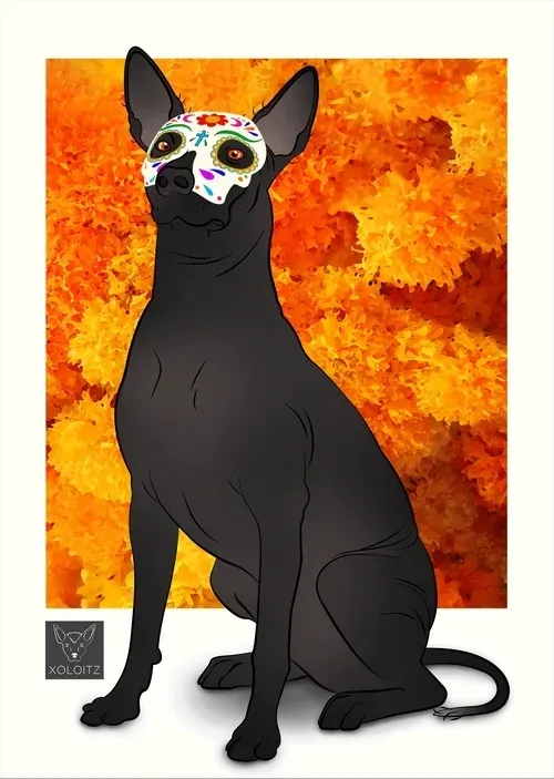 Item #115412186582648874764752321087999128692557907064492986516876109650242358476801 Media