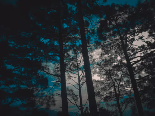 Item #61674817158369570074812173308133646434472829934339960245791451964413317218305 Media