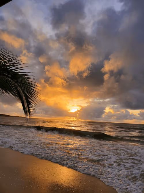 Item #98472539149852497909772220336016906941304707111889246531472116298422142631937 Media