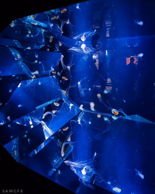 Item #95324726895182495996290546478047761567301355327347693853112767895480236507146 Media