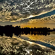 Untitled Collection #188729472