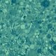 76200862296632580291472782085754279194962365212923331120032363558553786515457