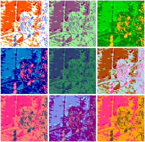 Item #24515379016287833430110687259411372809394655166763807580583558345576308277249 Media