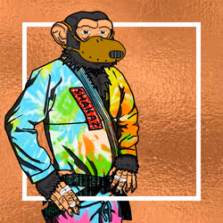 56013414916040467568860706043990986693245727030480677146115350094585018712065