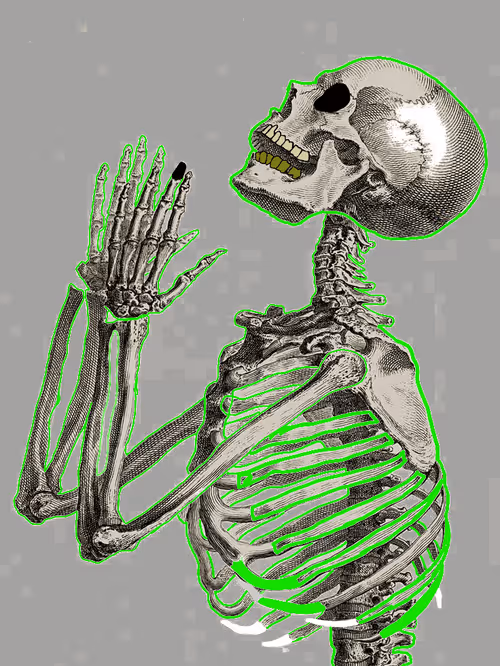 Item #62616844009388716191250310399153165393332022025774576993202299421125781749761 Media