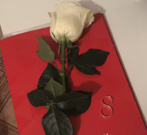 Item #112339910633504213728399095396539794001498957643170945361235603194330744881153 Media