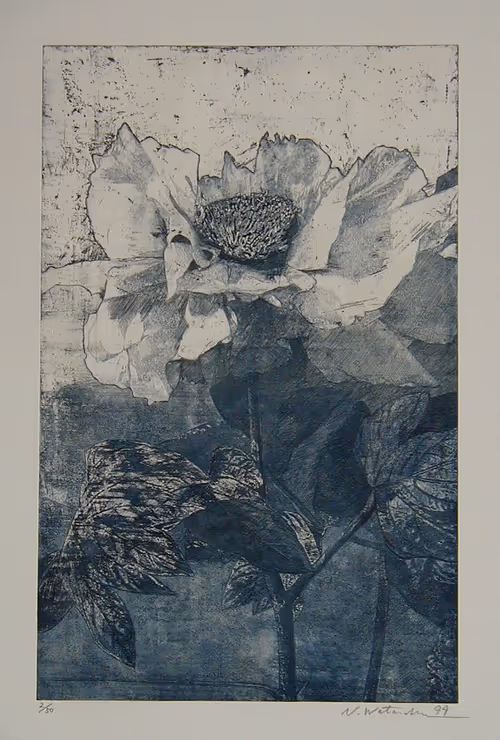 Item #72925079646173943955019179802066495558357068765344184678483369492406599680010 Media