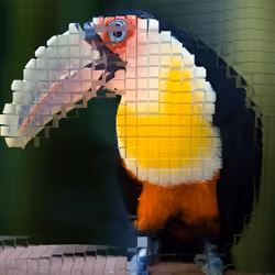 11276162529628641556553056529614973332754405277106184420845744847600312385537