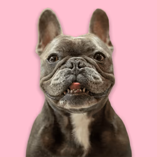 Item #99031261785432219130552668818269695456905868997165113515571762253280533544961 Media