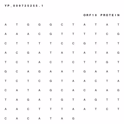 Item #65380618963620114885281271461439322618207565584775953371672302092212485750785 Media
