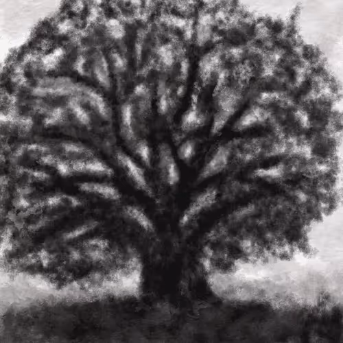 74277105166926401675648590500167077095239870897579205430653654836282696663041