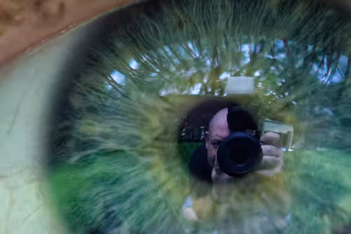 Item #47344123980109973813634142770242239438764360713225161879961011979156925186049 Media