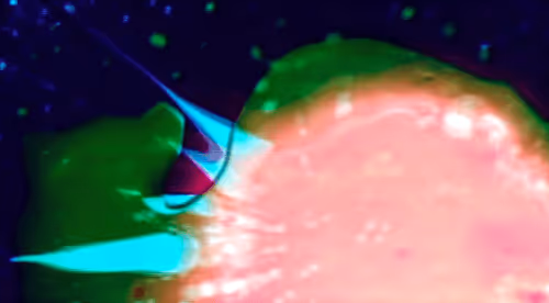 Item #115543855825004991069233676876391598030512634182688088675694673465792176062465 Media