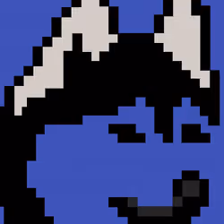 Smiling husky