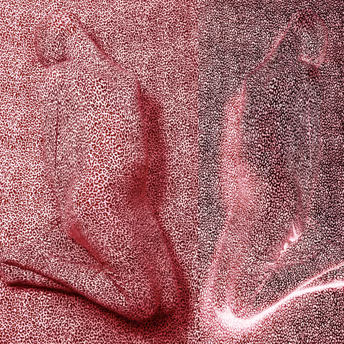 23311926384132945473835872142215006971580573314605382236599850766084599709697