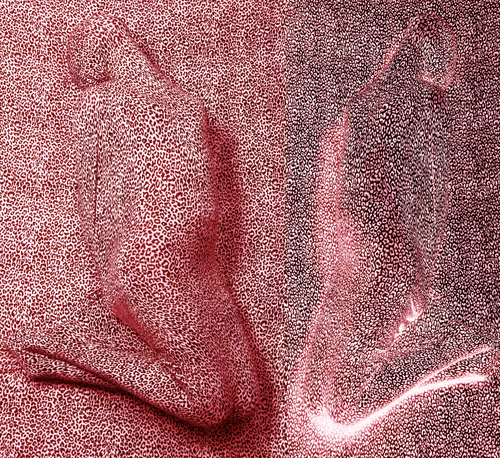 Item #23311926384132945473835872142215006971580573314605382236599850766084599709697 Media