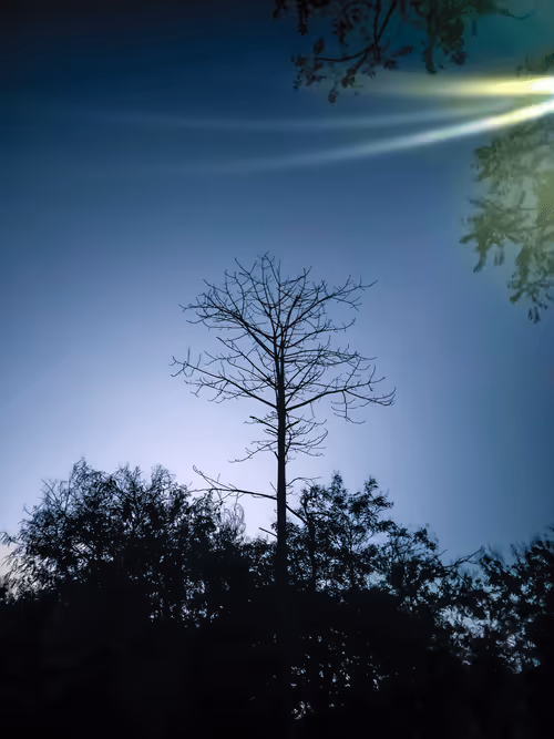 Item #25616082582926581849828542289953210650844898071757148195180127644155425849345 Media