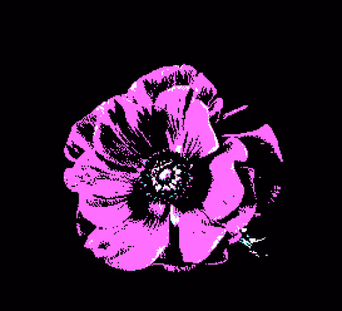 Untitled Collection #48470896