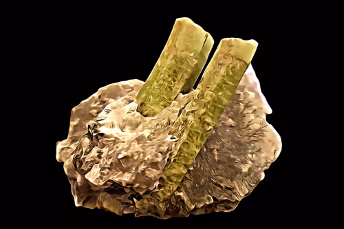 Item #94096604826532313810021462276079008274490893871398392433461387142154629939216 Media