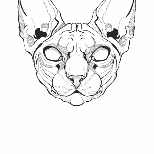 84297988521860449487920326360898468511054866812923401198130100104152033001473