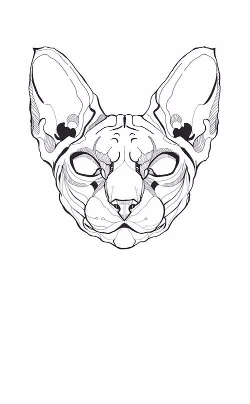 Item #84297988521860449487920326360898468511054866812923401198130100104152033001473 Media