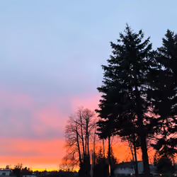 Evenings 