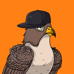 11538255180231465227692626853838225494553623514996908007785703286852122836993