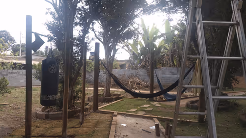 Untitled Collection #434734825