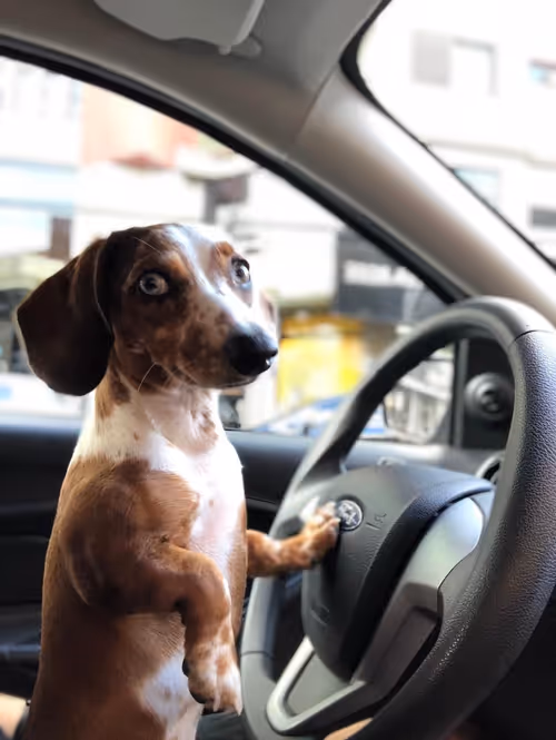 Item #94951261657889433440640425402549201589337916954067992377958453697271077797889 Media