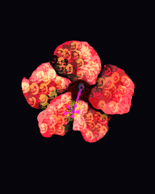 Item #8913673362959098501535163943781552108519886024744012455531375714690920349697 Media