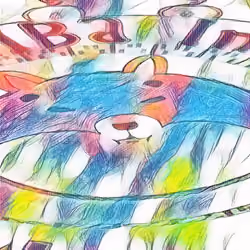 Shiba of Ireland