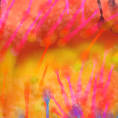 Item #18597592229770313398275647950096006303048191122343345771804814382318894448641 Media