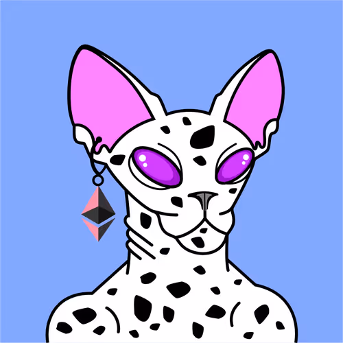 Crypto Sphinx Cat #91
