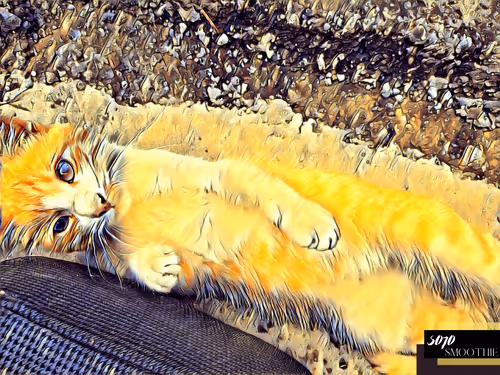 Item #70173555060280459679020221103172679865592931086946583501557978915086385807361 Media