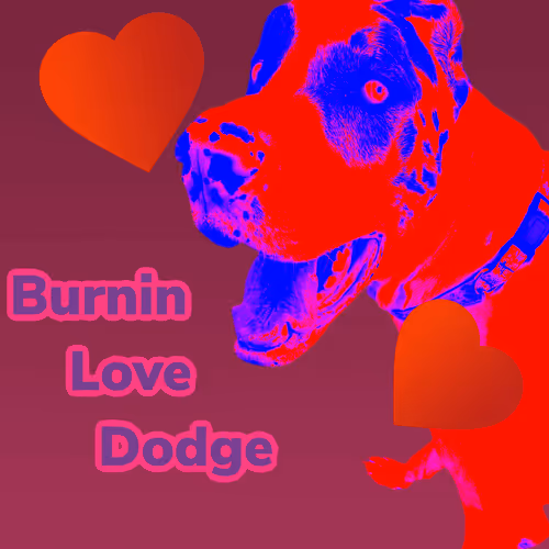 Item #15794007923744964589463280162252880392984187578375107792652798243295545262081 Media