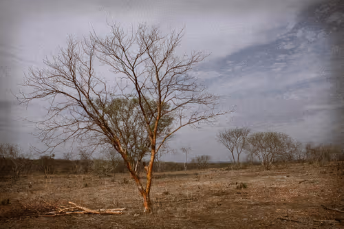 Item #101575229607926485862469706425422547905702674538468073786273286317000133443589 Media