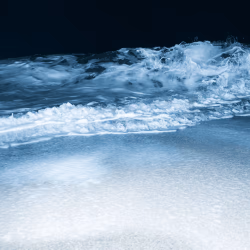 Item #65334289746679534718729475887804441956060191570096093289886828050897145167873 Media