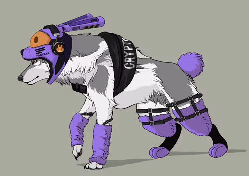 Item #14268345023035082943470818496241781613388534062258731701202849725844333527041 Media