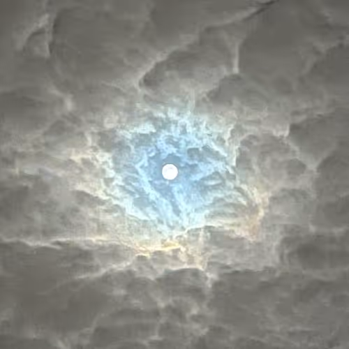 Untitled Collection #36543107