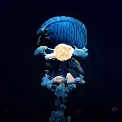 93923887731966639760197662534300547726212510779526051617655967296422447939585