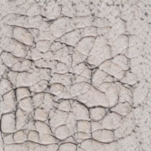 Item #58241160855422744817468407088196322100109565521561100950236908689391878144001 Media