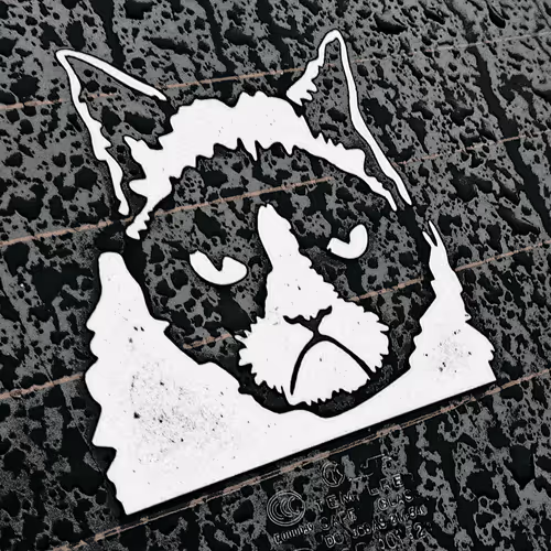 Item #54450507020933771230550606523959080353417493808663396117536853123084536774657 Media