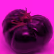 110692649264369377071495627220392981109400302920527361961030166683274300096513