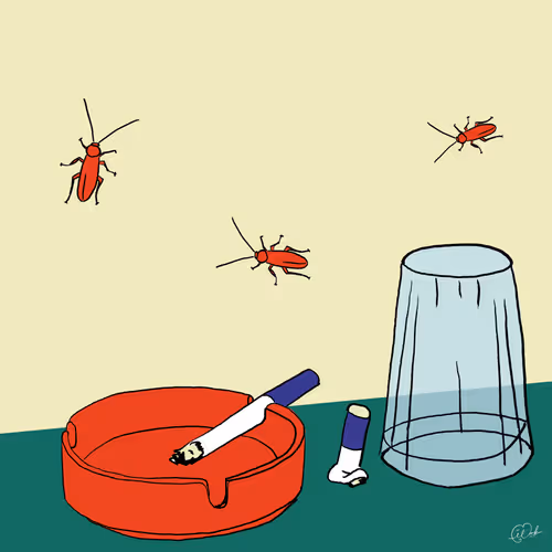 Item #112807198490706251524770405122252667449648308512424128139933853659274363797505 Media