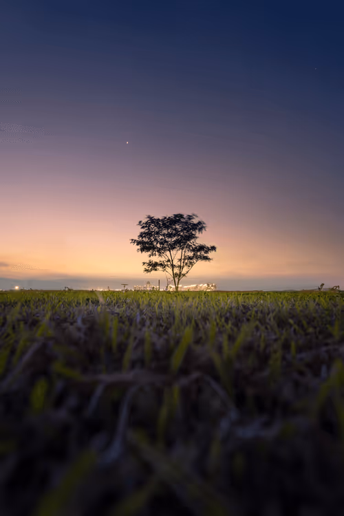 Item #36343894440936845448416662116372944151041084231430289706885235910073150078977 Media