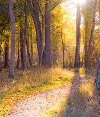 Item #39346038275218175692122245338117999534449511466287424968576522976436475133953 Media