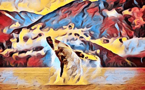 Item #13508095039876190545401276820051286684336130647733164687297862535910403342337 Media